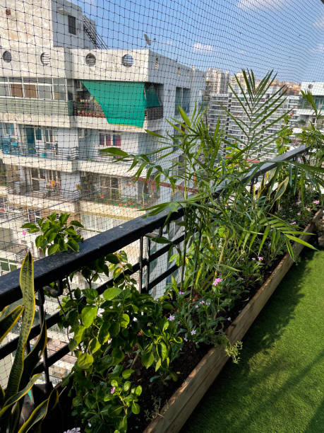 Stock photo of apartment balcony in Ghaziabad, India decorated with exotic house plants in wooden trough raised beds and tiled flooring Gardening and exterior low maintenance design concept.